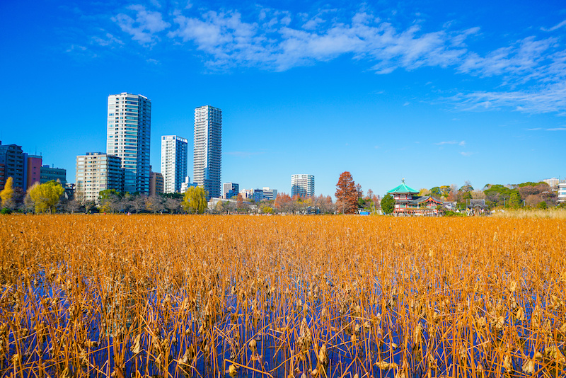 「その後の間に。。。」のアイキャッチ画像